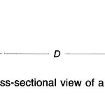 Capacitance of Two Wire Line