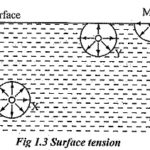 Surface Tension