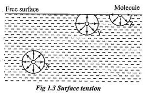 Read more about the article Surface Tension
