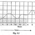 Load Curve in Power Plant