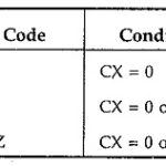 String Instruction in 8086