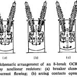 Non Linear Resistance Shunts