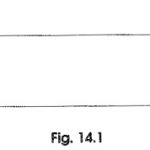 Unit Ramp Function