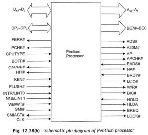 Read more about the article Pin Diagram of Pentium Processor