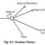 Nuclear Fission and Nuclear chain reaction